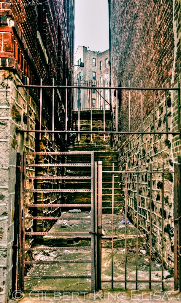 IMG_9769-2_tonemapped-2