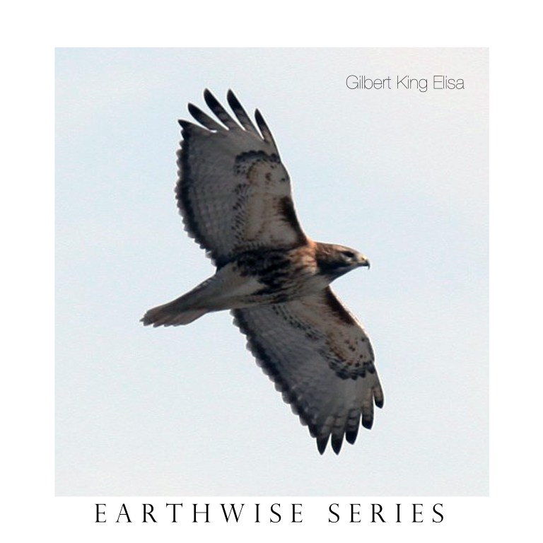 HAWK EARTHWISE SERIES
