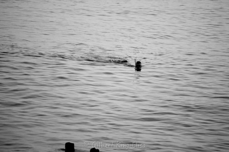 Image-9514795-140806075-3-WebLarge_0_9beec09f1e689bfc570b26d0d513a7b8_1