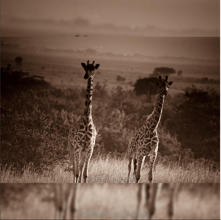 Screenshot 2015-09-18 14.25.00