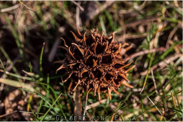 Screenshot 2016-03-12 21.12.44.png