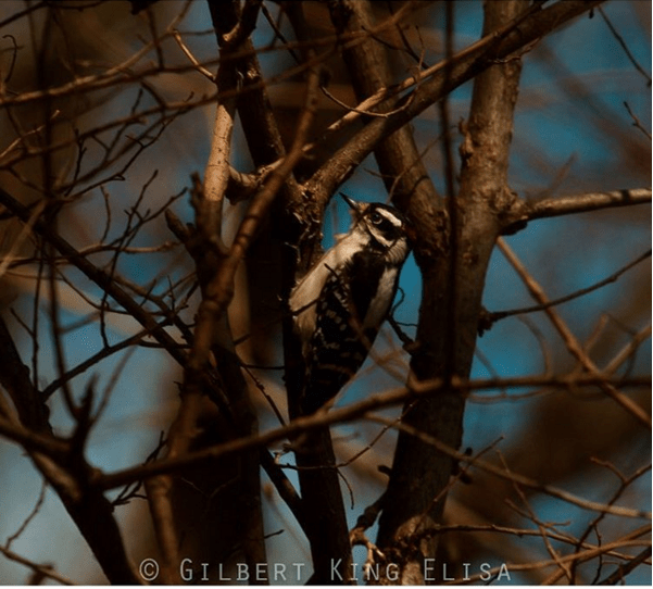 Screenshot 2016-03-12 21.25.57