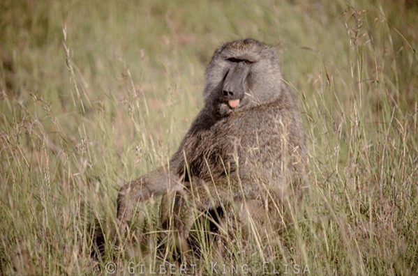 Screenshot 2016-03-12 21.48.09.png