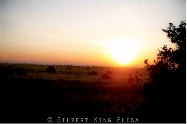 Screenshot 2016-03-13 18.11.09.png