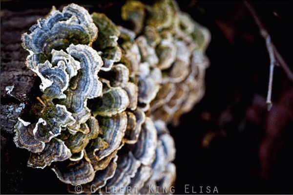 Screenshot 2016-03-15 12.11.11.png