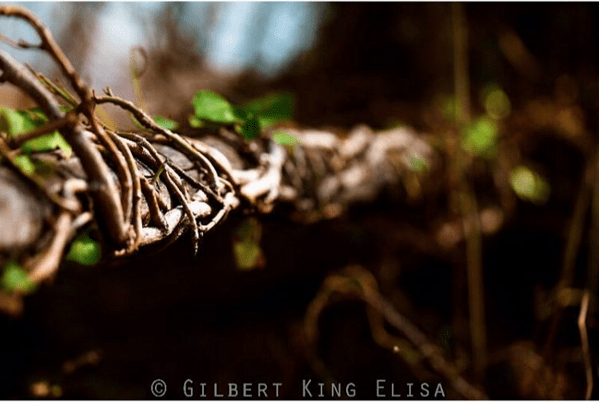 Screenshot 2016-03-15 12.17.03.png