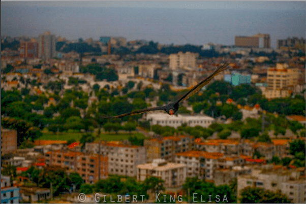 Screenshot 2016-03-20 12.15.52.png