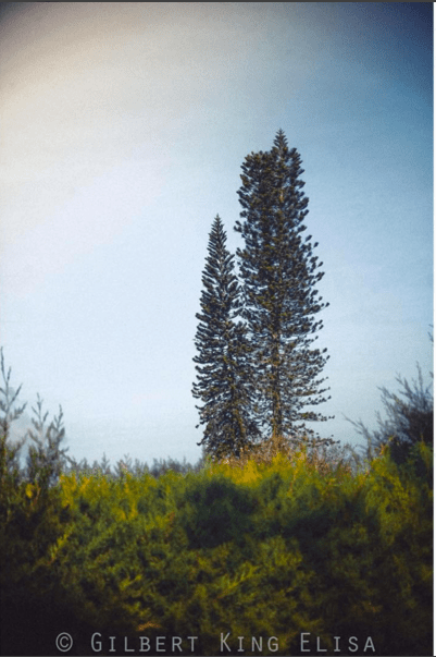 Screenshot 2016-03-20 12.30.27.png