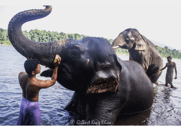 Screenshot 2016-03-26 14.08.45.png